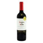 Vino-Tinto-Casillero-Del-Diablo-Cabernet-250ml-Bodegas-Alianza