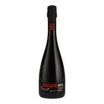 Vino-Tinto-Espumoso-Andiamo-Unico-Lambrusco-750-ml