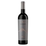 Vino-Tinto-Dominio-Fournier-Reserva-750ml-Bodegas-Alianza