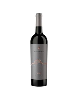 Vino Tinto Dominio Fournier Reserva 750ml