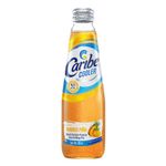 Caribe-Cooler-Mango-Piña-300-ml--6pz-