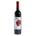 Vino-Tinto-Casa-Magoni-Origen-43-750-ml