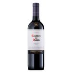 Vino-Tinto-Casillero-Del-Diablo-Merlot-750-ml