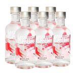 Vodka-Absolut-Raspberri--6-Botellas--200ml