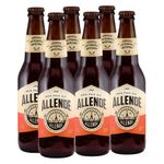 Cerveza-Allende-India-Pale-Ale-N-R-355ml--6-Bt-
