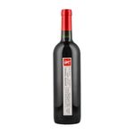 Vino-Tinto-Santo-Tomas-Cabernet-750-ml