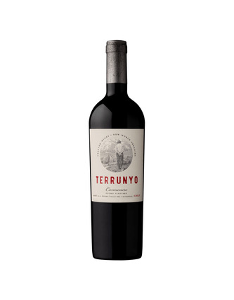 Vino Tinto Terrunyo Carmenere 750 ml
