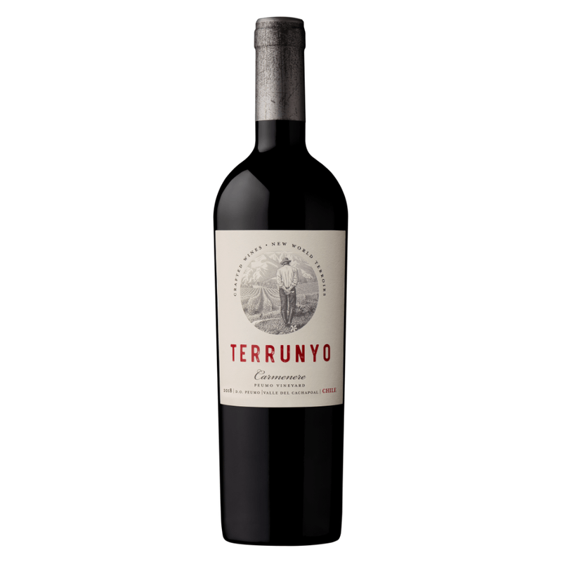 Vino-Tinto-Terrunyo-Carmenere-750-ml