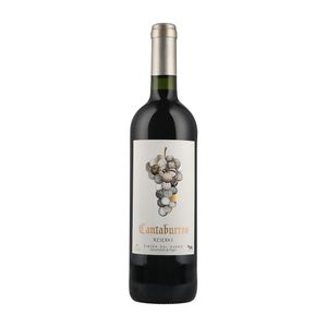 Vino Tinto Cantaburros Reserva 750 ml
