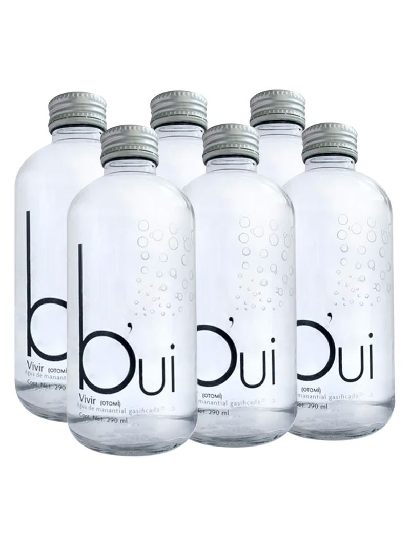 Agua-Bui-Gasificada-De-Manantial--6-Botellas--290-ml