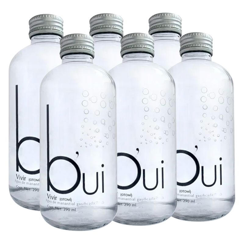 Agua-Bui-Gasificada-De-Manantial--6-Botellas--290-ml