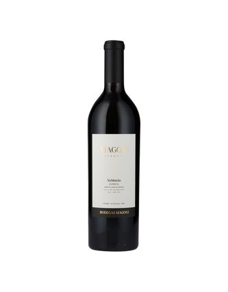Vino Tinto Magoni Reserva Nebbiolo 750 ml