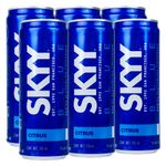 40995-sky-citrus-lata-6pzs