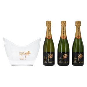 Vino Blanco Espumoso Tierra De Angeles Brut Cava 3Bt+Hielera 750 ml