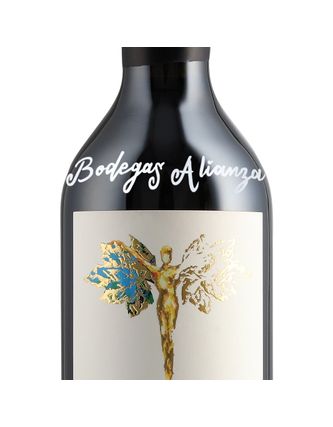 Vino Tinto Gran Tierra de Ángeles Blend Bordales (Personalizado) 750 ml